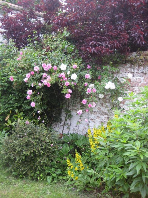 B&B Huis Willaeys Brugge Buitenkant foto